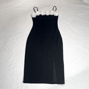 Thirty Thirty Bodycon Dress